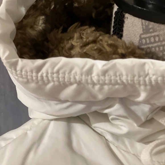 NWOT,, American  Eagle, not worn, no tag, winter white,  winter vest, - Picture 3 of 16